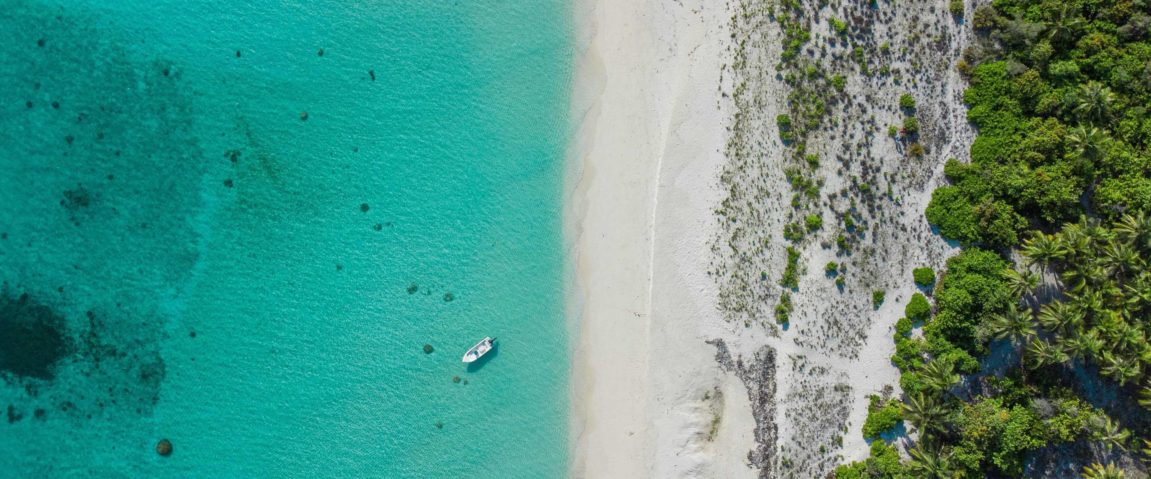 Playa caribeña de arena blanca con agua turquesa